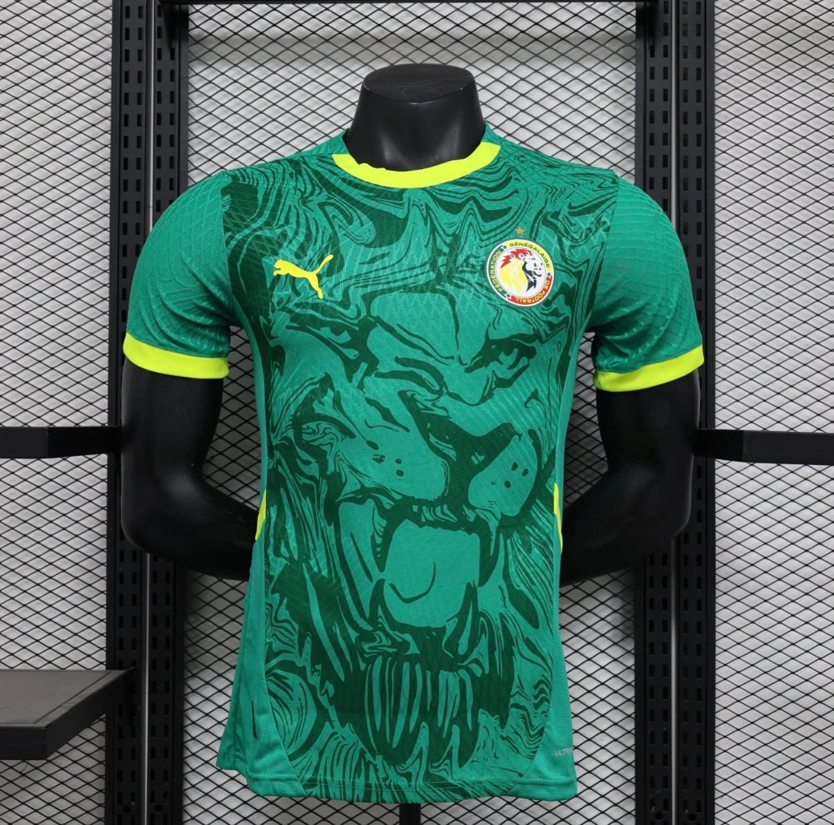 Sénégal 2026 Extérieur
